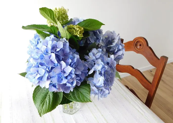 Niaazoreanapartments2, Aconchegante E Confortavel! * Horta (Azores)